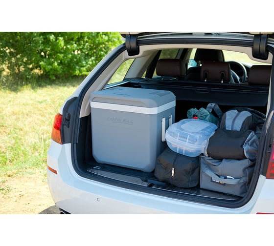 Автомобильный холодильник Campingaz Powerbox Plus 36 2000024957