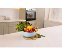 Полимербыт АЛЬТЕР МИСКА 3л ПОЛИМЕРБЫТ 433970000