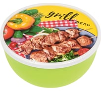 Миска с крышкой Полимербыт GRILL MENU 0.6л салатовый 435949200