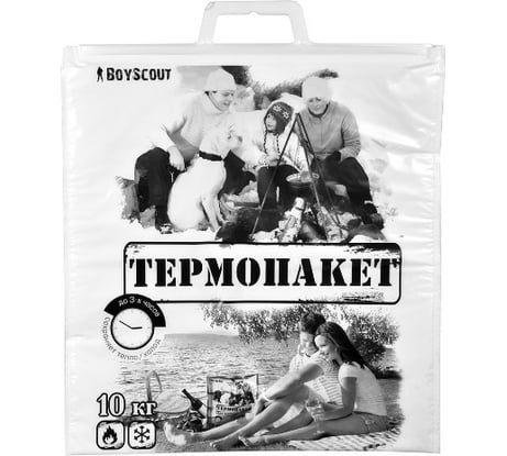 Термопакет BOYSCOUT, 42х45 см, пластиковая ручка, Мах нагрузка до 10 кг  61435