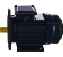 Электродвигатель ТМ БЭЗ АИР 63В2 IM 2081 31256