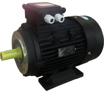 Мотор TOR H 112 4,4 KW внешний вал 2609А 14750