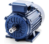 Электродвигатель ТМ БЭЗ АИР 71А2 IM 1081 31259