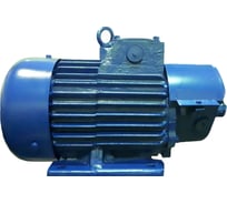 Крановый электродвигатель ТМ БЭЗ ДМТF 112-6 У1 IM 1002 02484