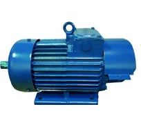 Крановый электродвигатель ТМ БЭЗ ДМТF 112-6 У1 IM 1001 02185