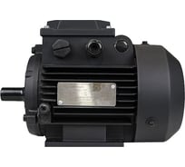 Электродвигатель МЭЗ АИРЕ56В2-У3-220-50IM1081К31Е 1081