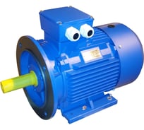 Электродвигатель АО Электромашина 160M8 асинхронный, 3-х фазный, исп. 2081 4627183165393