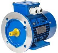 Электродвигатель АО Электромашина 71A4 асинхронный, 3-х фазный, исп. 1081 4627183163887