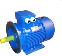 Электродвигатель ЭМШ 200L8У1 22кВт, 380/660В, IMB35 2081, IP55, 250кг Х0000064589