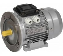 Электрический двигатель IEK 3ф.АИР 63A2 380В 0,37кВт 3000об/мин 2081 DRIVE DRV063-A2-000-4-3020