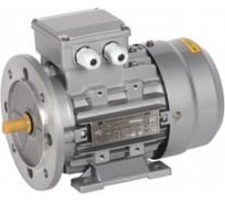 Электрический двигатель IEK 3ф.АИС 71B2 380В 0,55кВт 3000об/мин 2081 DRIVE AIS071-B2-000-6-3020