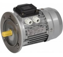 Электрический двигатель IEK 3ф.АИР 71B8 380В 0,25кВт 750об/мин 3081 DRIVE DRV071-B8-000-3-0730