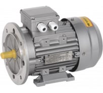Электрический двигатель IEK 3ф.АИС 80C2 380В 1,5кВт 3000об/мин 1081 DRIVE AIS080-C2-001-5-3010