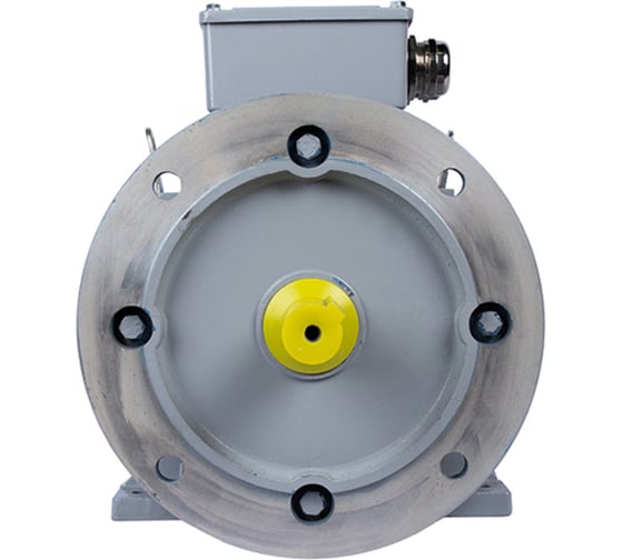 Общепромышленный электродвигатель ESQ PR 100 LB4-SDN-Б1-S12-IE3 3/1500 IM B35 01050.02.000130