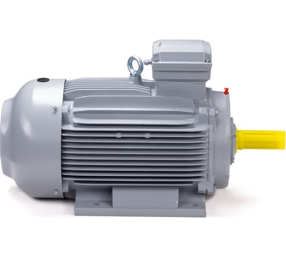 Общепромышленный электродвигатель ESQ PR 100 LB4-SDN-Б1-S12-IE2 3/1500 IM B3 01050.02.000043
