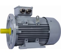 Общепромышленный электродвигатель ESQ PR 112 MA2-SDN-Б1-S12-IE2 4/3000 IM B35 01050.02.000012