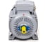 Общепромышленный электродвигатель ESQ PR 250 M2-SDN-Б1-S12-IE2 55/3000 IM B3 01050.02.000028 2