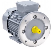 Общепромышленный электродвигатель ESQ PR 80 В2-SDN-Б1-S12-IE2 1.1/3000 IM B35 01050.02.000004