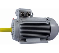 Общепромышленный электродвигатель ESQ PR 160 L2-SDN-Б1-S12-IE3 18.5/3000 IM B35 01050.02.000078