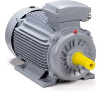 Общепромышленный электродвигатель ESQ PR 132 S4-SDN-Б1-S12-IE3 5.5/1500 IM B3 01050.02.000144