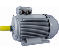 Общепромышленный электродвигатель ESQ PR 250 M6-SDN-Б1-S12-IE3 37/1000 IM B35 1052203126