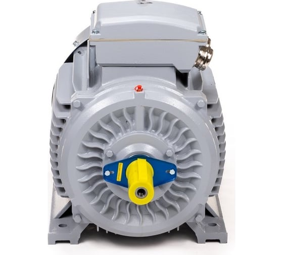 Общепромышленный электродвигатель ESQ PR 200 LB2-SDN-Б1-S12-IE3 37/3000 IM B3 01050.02.000095