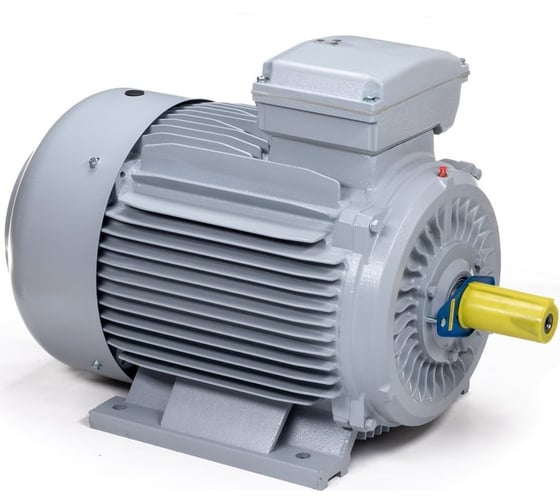 Общепромышленный электродвигатель ESQ PR 200 LB2-SDN-Б1-S12-IE3 37/3000 IM B3 01050.02.000095