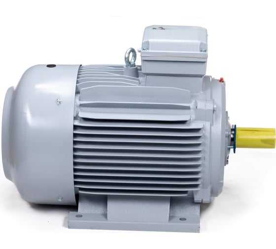 Общепромышленный электродвигатель ESQ PR 200 LB2-SDN-Б1-S12-IE3 37/3000 IM B3 01050.02.000095