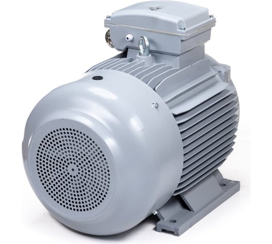 Общепромышленный электродвигатель ESQ PR 200 LB2-SDN-Б1-S12-IE3 37/3000 IM B3 01050.02.000095
