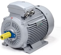 Общепромышленный электродвигатель ESQ PR 280 S6-SDN-Б1-S12-IE2 45/1000 IM B3 01050.02.222802