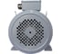 Общепромышленный электродвигатель ESQ PR 100 LB4-SDN-Б1-S12-IE2 3/1500 IM B35 01050.02.000044 3