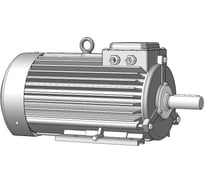 Крановый электродвигатель ТМ БЭЗ АМТН 132 L 6 У1 IM 1001 02219