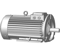 Крановый электродвигатель ТМ БЭЗ АМТН 132 L 6 У1 IM 2001 02503