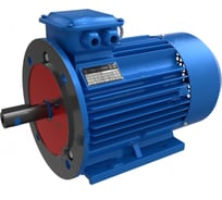 Электродвигатель ЭМШ АИР355М4У1 315кВт 380/660В, IMB35 (2081), IP55, 2450кг Х0000067078
