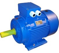 Электродвигатель ЭМШ AIS200LB2У1 37кВт 380/660В, IMB3 (1081), IP55, , 235кг Х0000070421