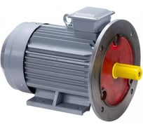 Общепромышленный электродвигатель ESQ PR 100 L2 GST-Б1-S12-IE2 IM 2081 5.5/3000 01.01.223752