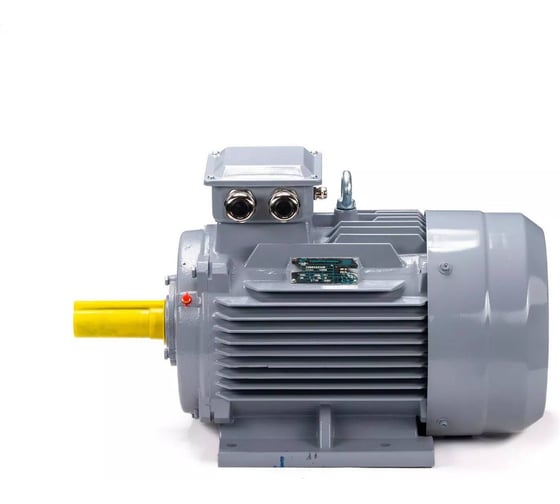 Общепромышленный электродвигатель ESQ PR 100 L4 GST-Б1-S12-IE2 IM 1081 4/1500 01.01.223749