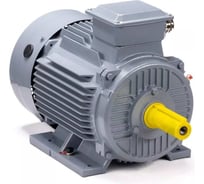 Общепромышленный электродвигатель ESQ PR 132 M4 GST-Б3-S12-IE2 230/400V IM 1081 11/1500 01.01.226138