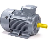 Общепромышленный электродвигатель ESQ PR 160 M2 GST-Б1-S12-IE2 IM 1001 18.5/3000 01.01.223777