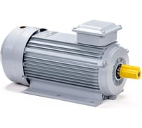 Электродвигатель общепромышленный ESQ PR 90 L4 GST-Б1-S12-IE2 IM 1081 2.2/1500 01.01.224037
