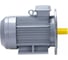 Электродвигатель общепромышленный ESQ PR 225 M4 GST-Б1-S12-IE2 IM 2001 55/1500 01.01.223801 4