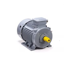 Электродвигатель общепромышленный ESQ PR 250 M2 GST-Б1-S12-IE2 IM 1001 90/3000 01.01.223806