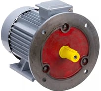 Электродвигатель общепромышленный ESQ PR 200 M4 GST-Б1-S12-IE2 IM 2001 37/1500 01.01.223796