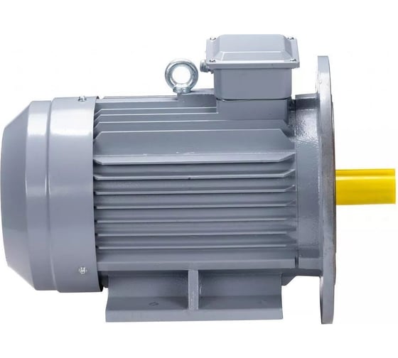 Электродвигатель общепромышленный ESQ PR 180 M2 GST-Б1-S12-IE2 IM 2001 30/3000 01.01.224182
