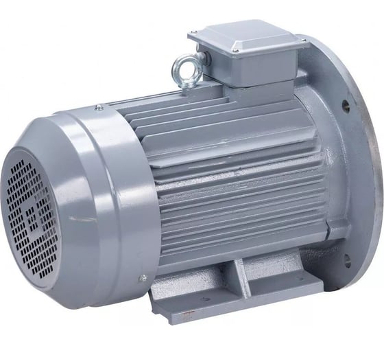 Электродвигатель общепромышленный ESQ PR 180 M2 GST-Б1-S12-IE2 IM 2001 30/3000 01.01.224182