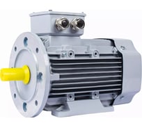 Электродвигатель общепромышленный ESQ PR 90 L2 GST-Б1-S12-IE2 IM 2081 3/3000 01.01.224036