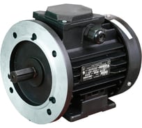 Электродвигатель АО МЭЗ УралЭлектро АДМ112МВ6-У2-220/380-50IM2081-Р.К.В. (Медногорск) АДМ112МВ6 2081