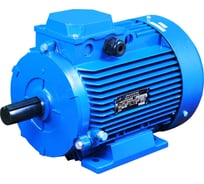 Электродвигатель АО МЭЗ УралЭлектро АДМ90L2У2 220/380 IМ1081РКВ(Медногорск) АДМ90Л2 1081