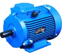 Электродвигатель АО МЭЗ УралЭлектро АДМ100L2-У2-220/380-50IM1081-Р.К.В. АДМ100Л2 1081