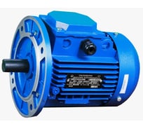 Электродвигатель АО МЭЗ УралЭлектро АДМ100L2-У2-220/380-50IM3081-Р.К.В. АДМ100Л2 3081